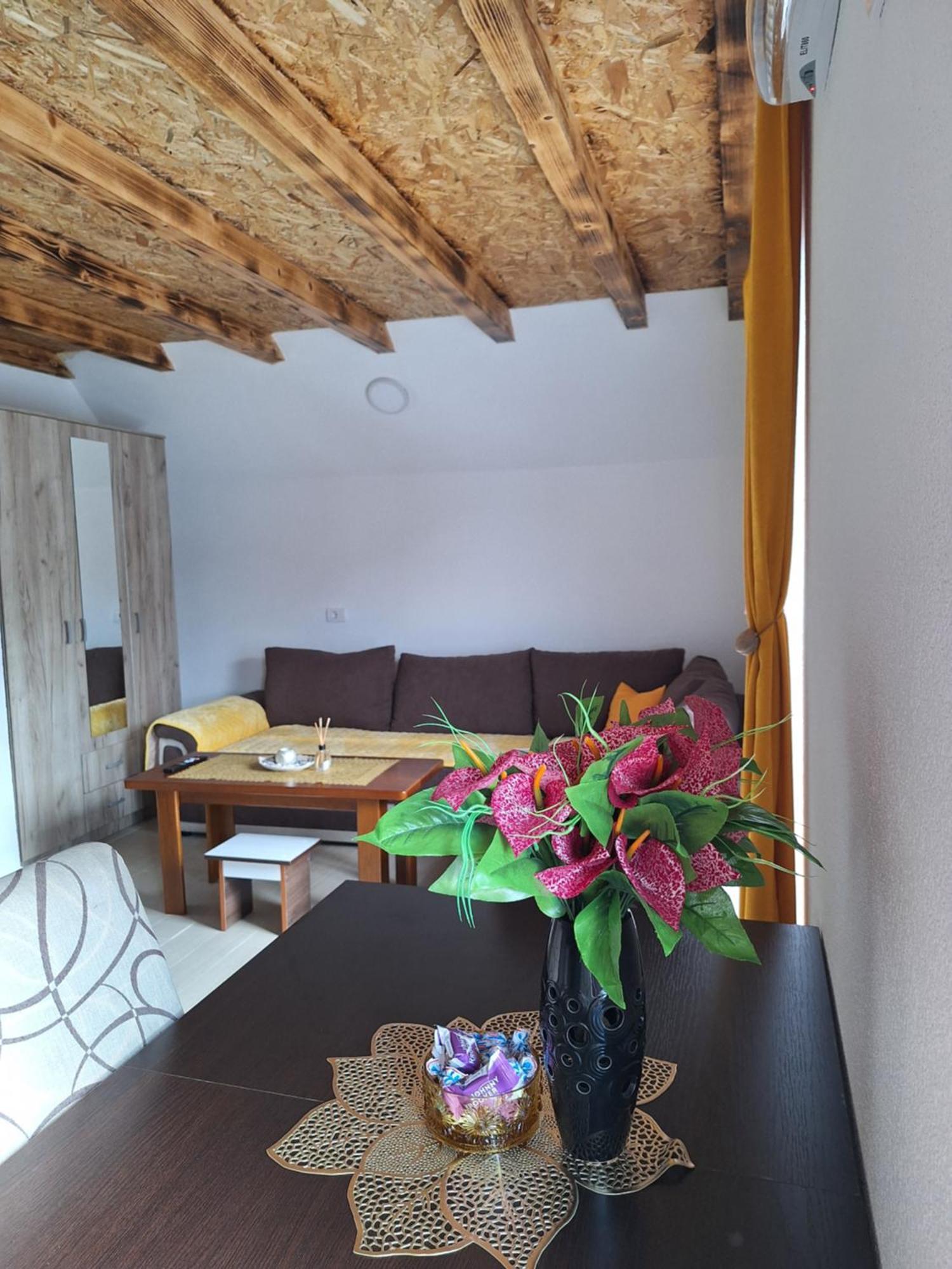 Apartmani Lena 普卢日内 外观 照片